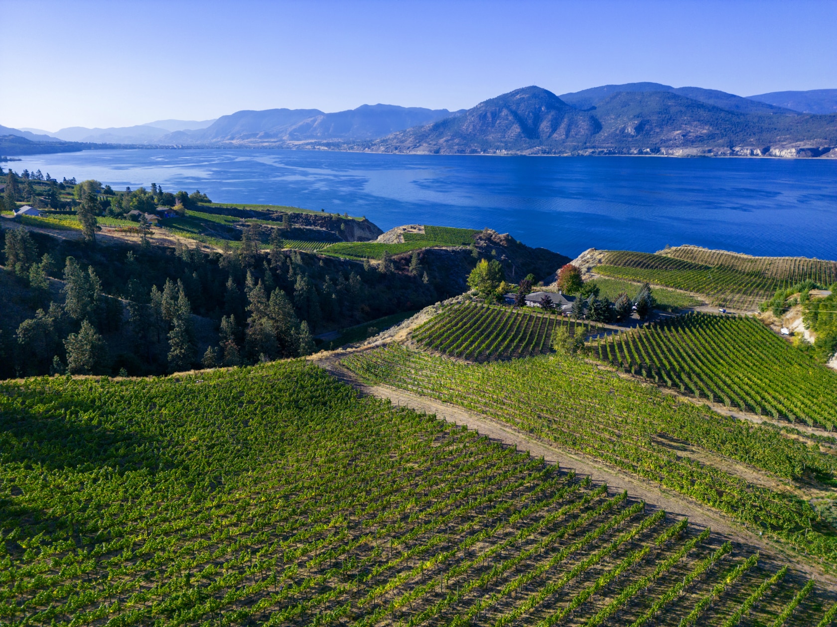 Featured image for “Family-Friendly Winery Tours in Kelowna: Enjoyment for All Ages”