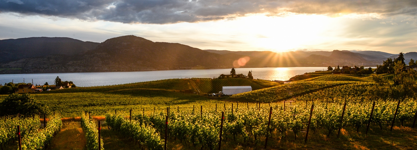Featured image for “West Kelowna Dreamin Half-Day Wine Tour”