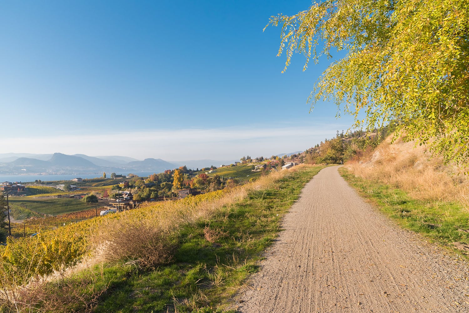 Featured image for “Top Outdoor Adventures in Kelowna for Nature Lovers”